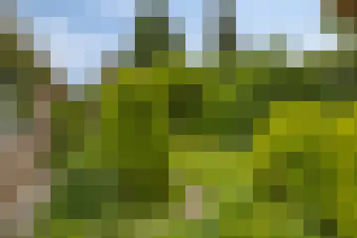 Akkrumlaan 3 Arnhem thumbnail 38