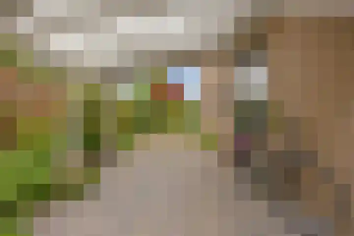 Akkrumlaan 3 Arnhem thumbnail 39