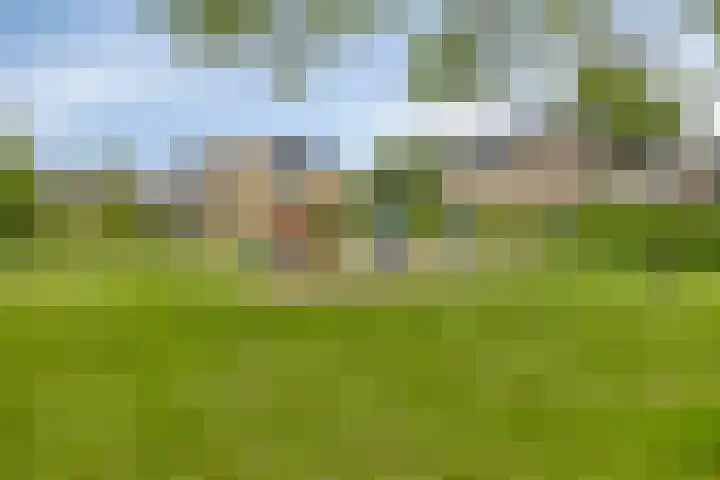 Akkrumlaan 3 Arnhem thumbnail 41