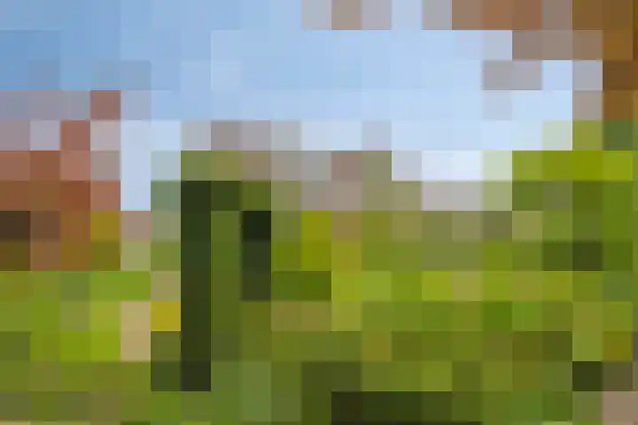 Akkrumlaan 3 Arnhem thumbnail 45