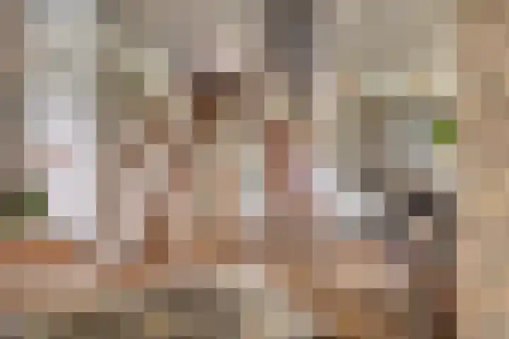 Akkrumlaan 3 Arnhem thumbnail 8