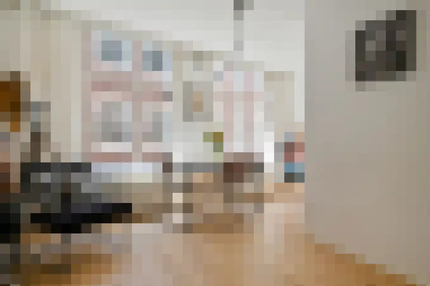 Akoleienstraat 5 H Amsterdam thumbnail 4