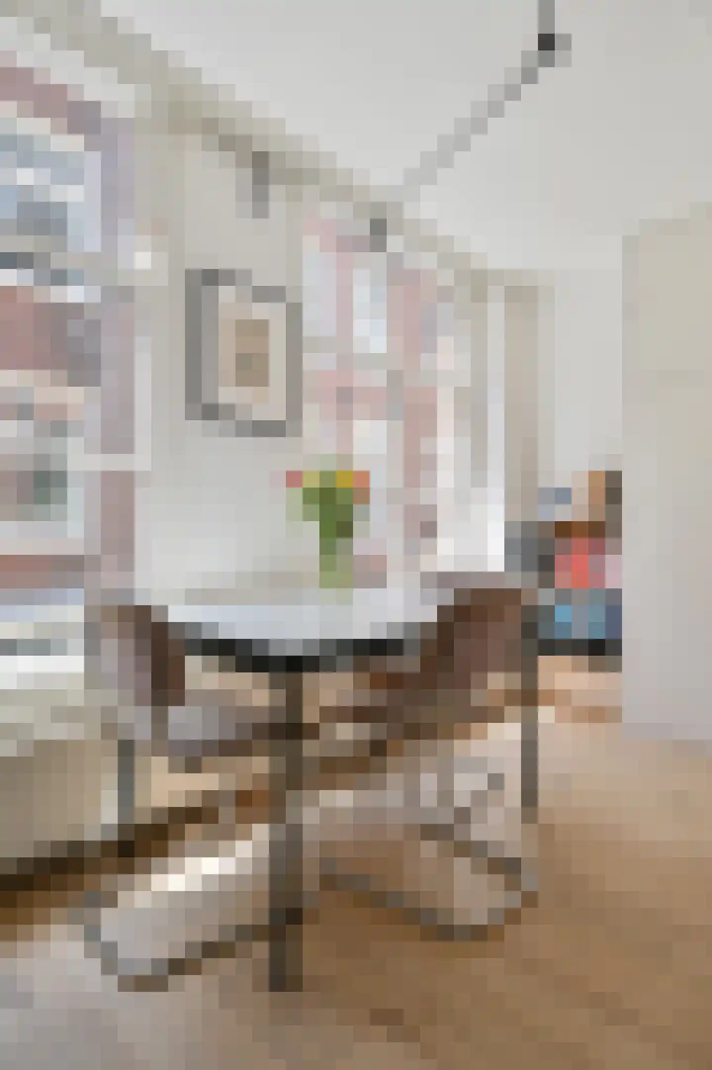 Akoleienstraat 5 H Amsterdam thumbnail 5