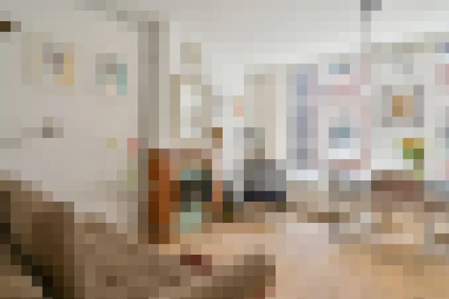 Akoleienstraat 5 H Amsterdam thumbnail 6