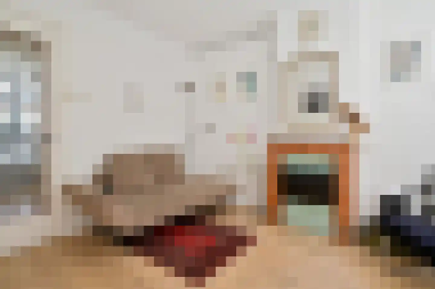 Akoleienstraat 5 H Amsterdam thumbnail 7