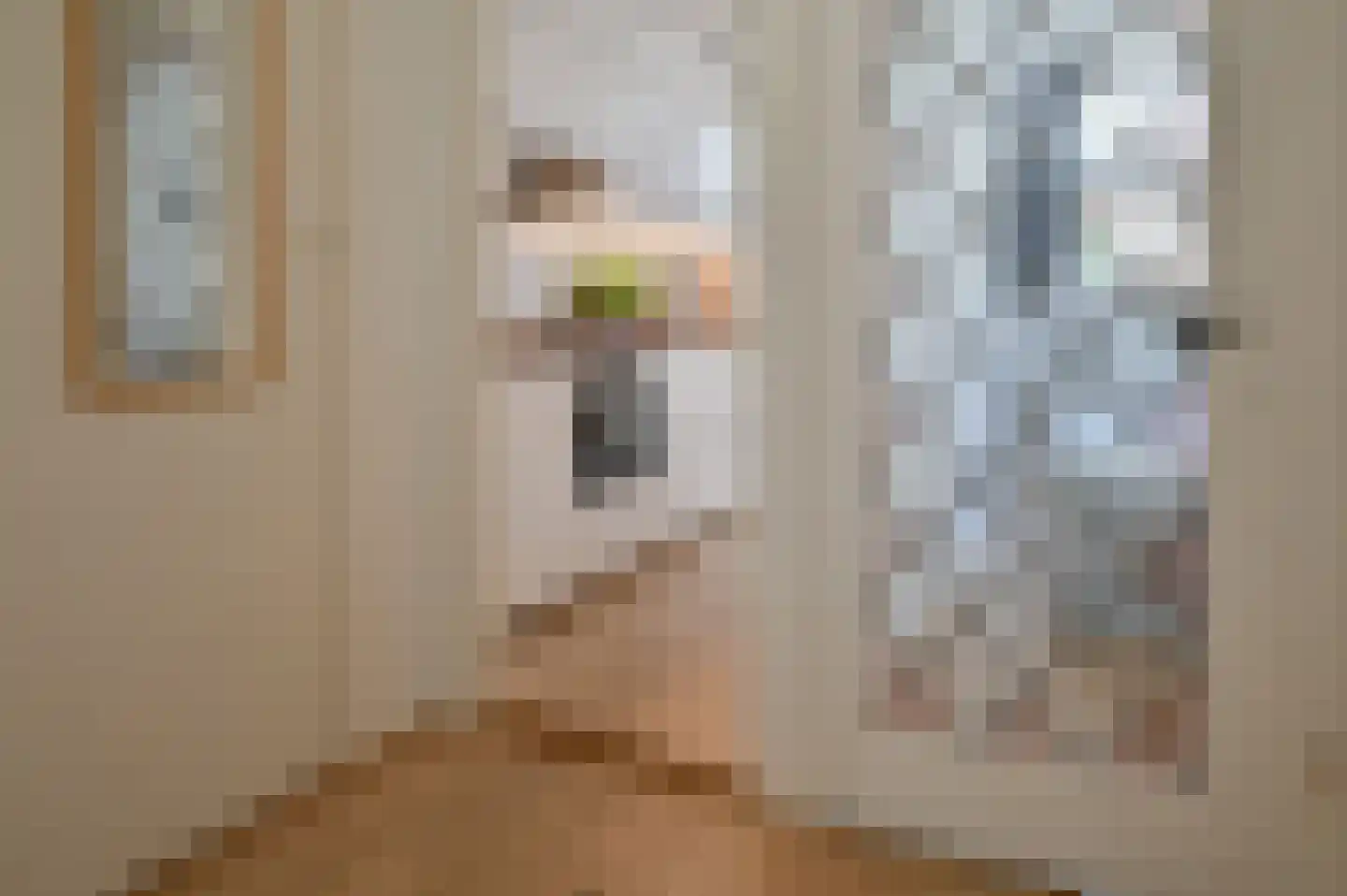 Akoleienstraat 5 H Amsterdam thumbnail 9
