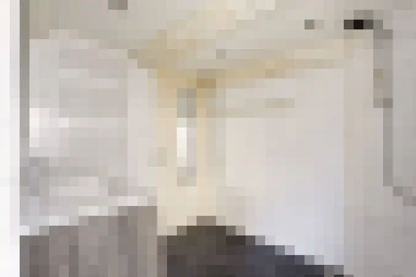Akoleienstraat 8 4 Amsterdam thumbnail 20