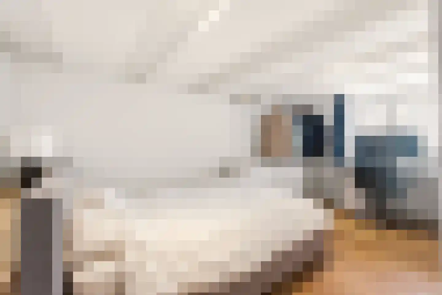 Akoleienstraat 8 4 Amsterdam thumbnail 27