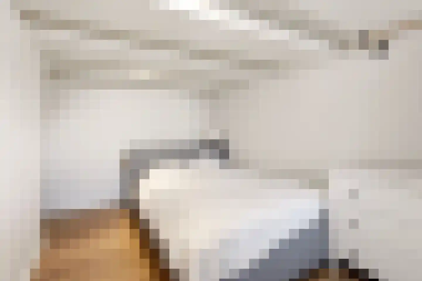 Akoleienstraat 8 4 Amsterdam thumbnail 28