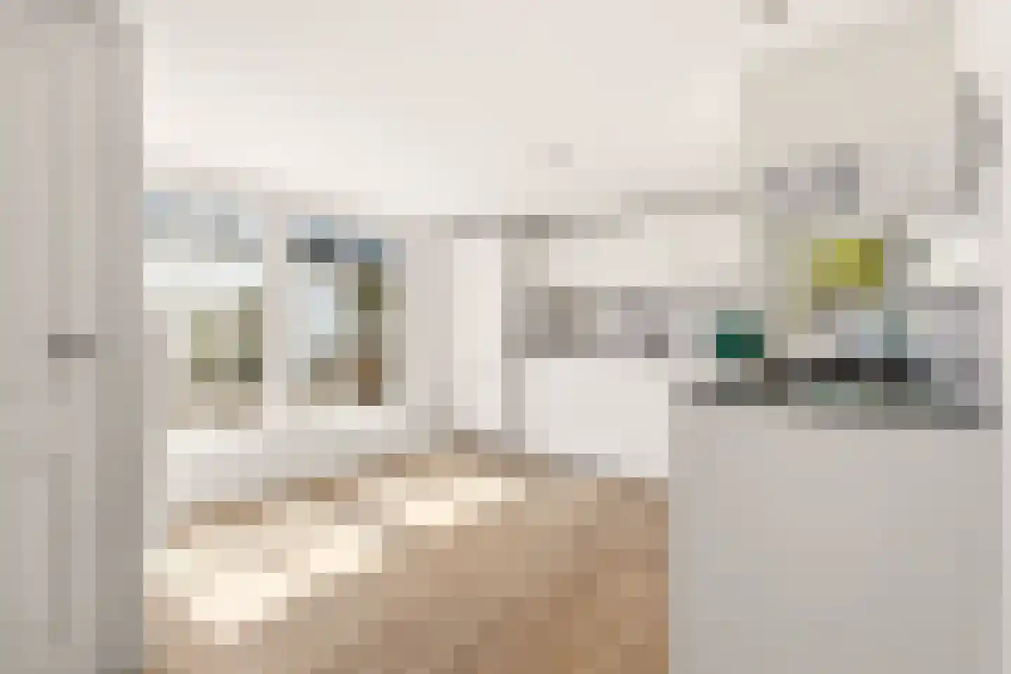 Akoleienstraat 8 4 Amsterdam thumbnail 9