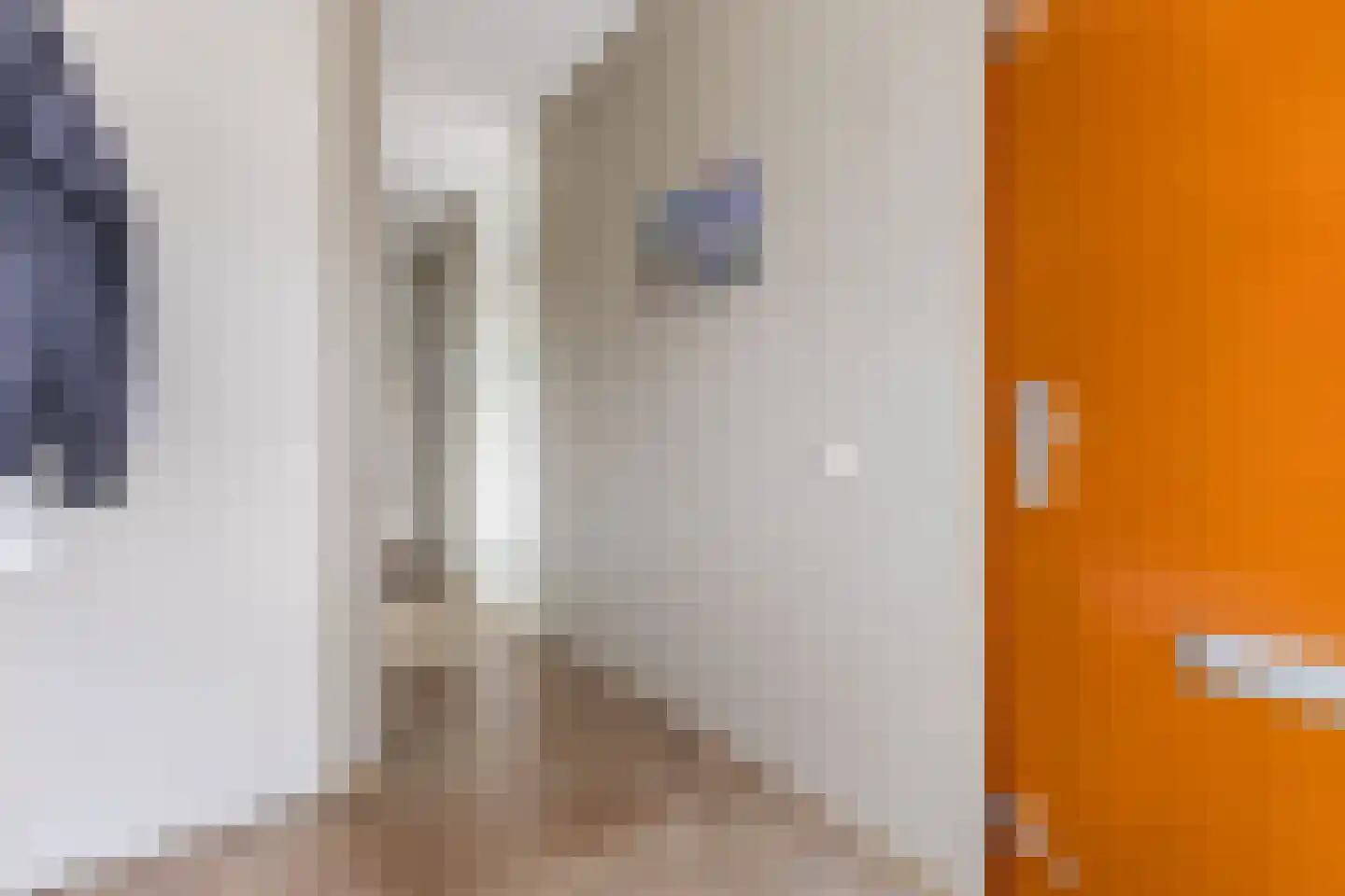 Akoniet 7 Papendrecht thumbnail 10