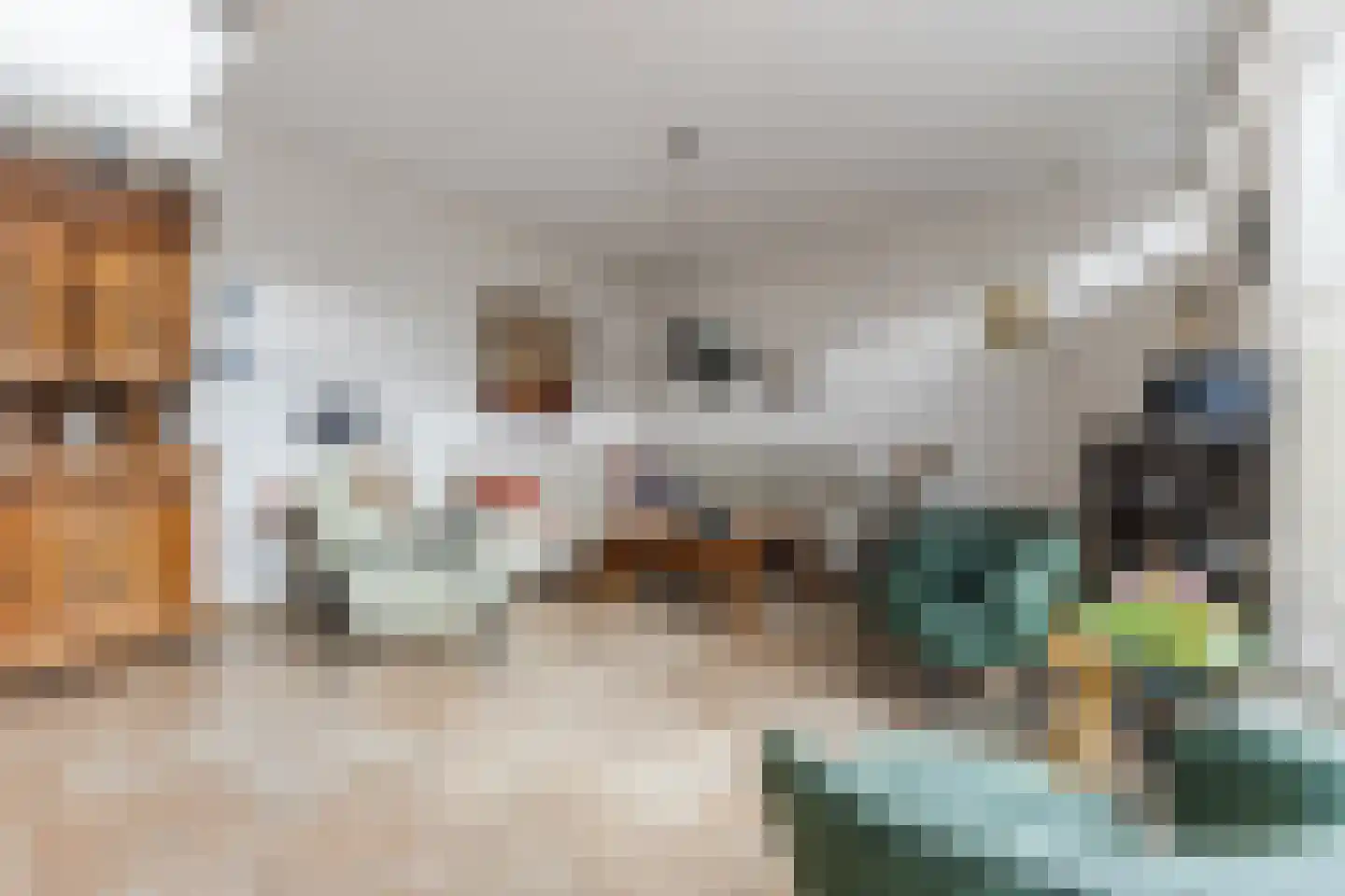 Akoniet 7 Papendrecht thumbnail 12