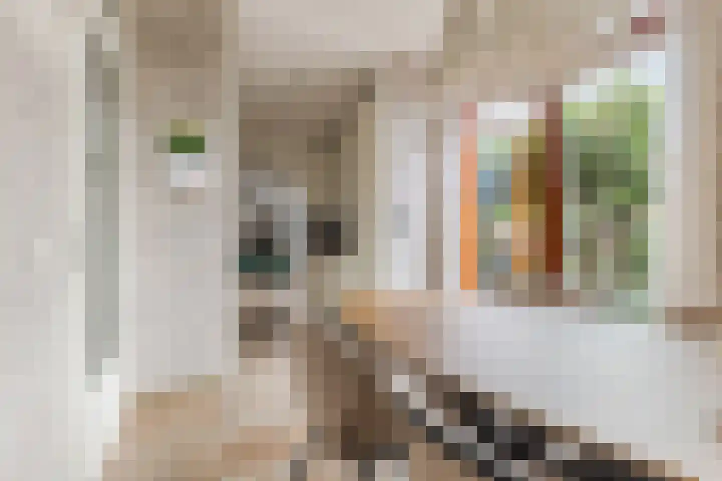 Akoniet 7 Papendrecht thumbnail 18