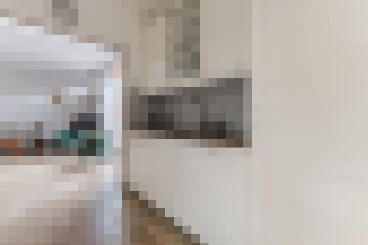 Akoniet 7 Papendrecht thumbnail 19