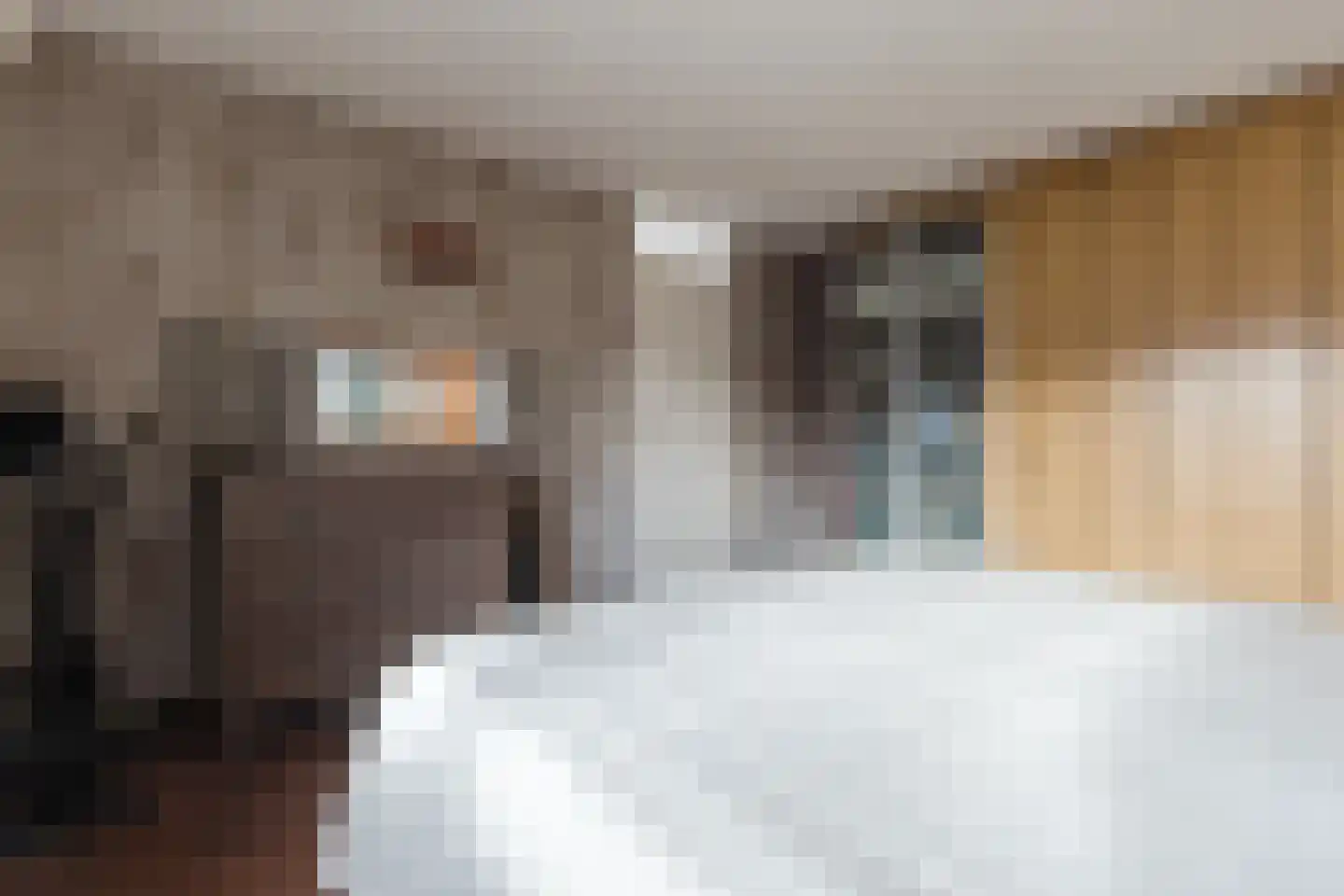 Akoniet 7 Papendrecht thumbnail 25