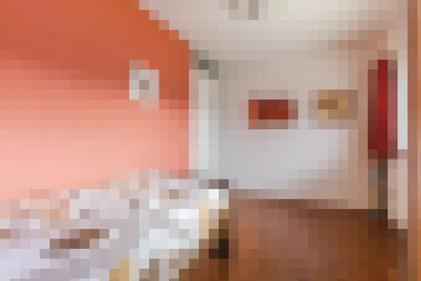 Akoniet 7 Papendrecht thumbnail 28