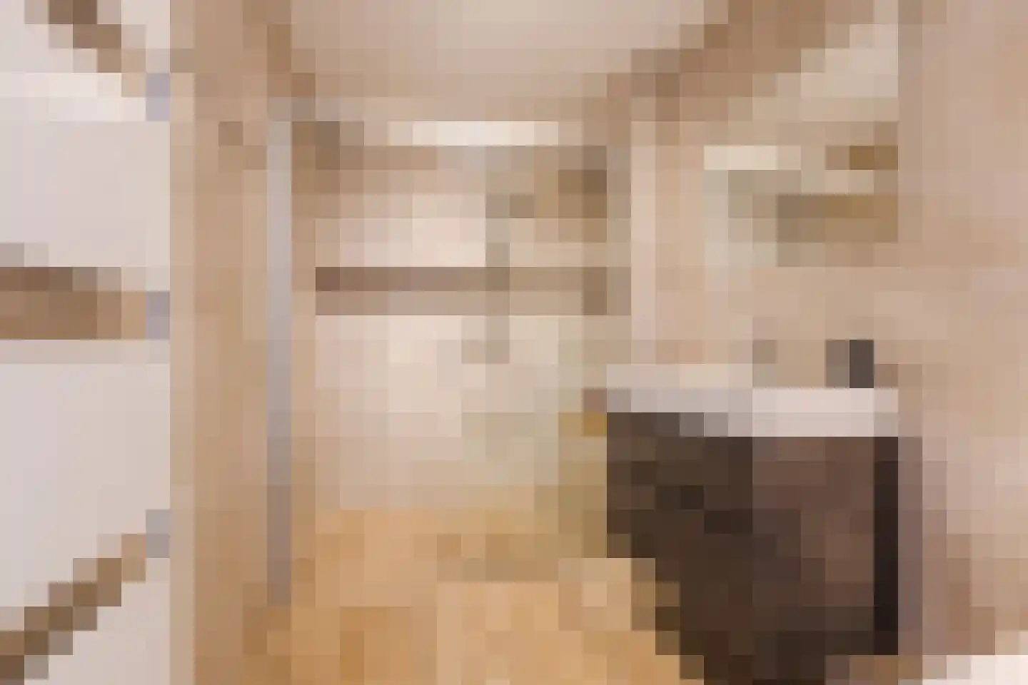 Akoniet 7 Papendrecht thumbnail 32