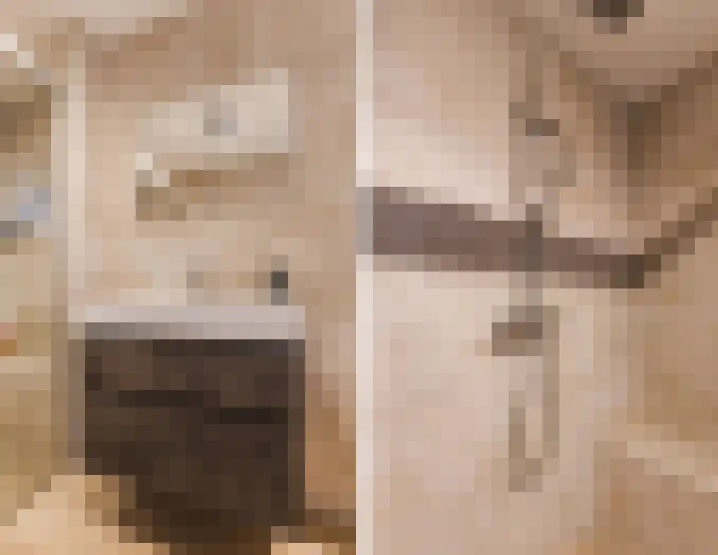 Akoniet 7 Papendrecht thumbnail 33