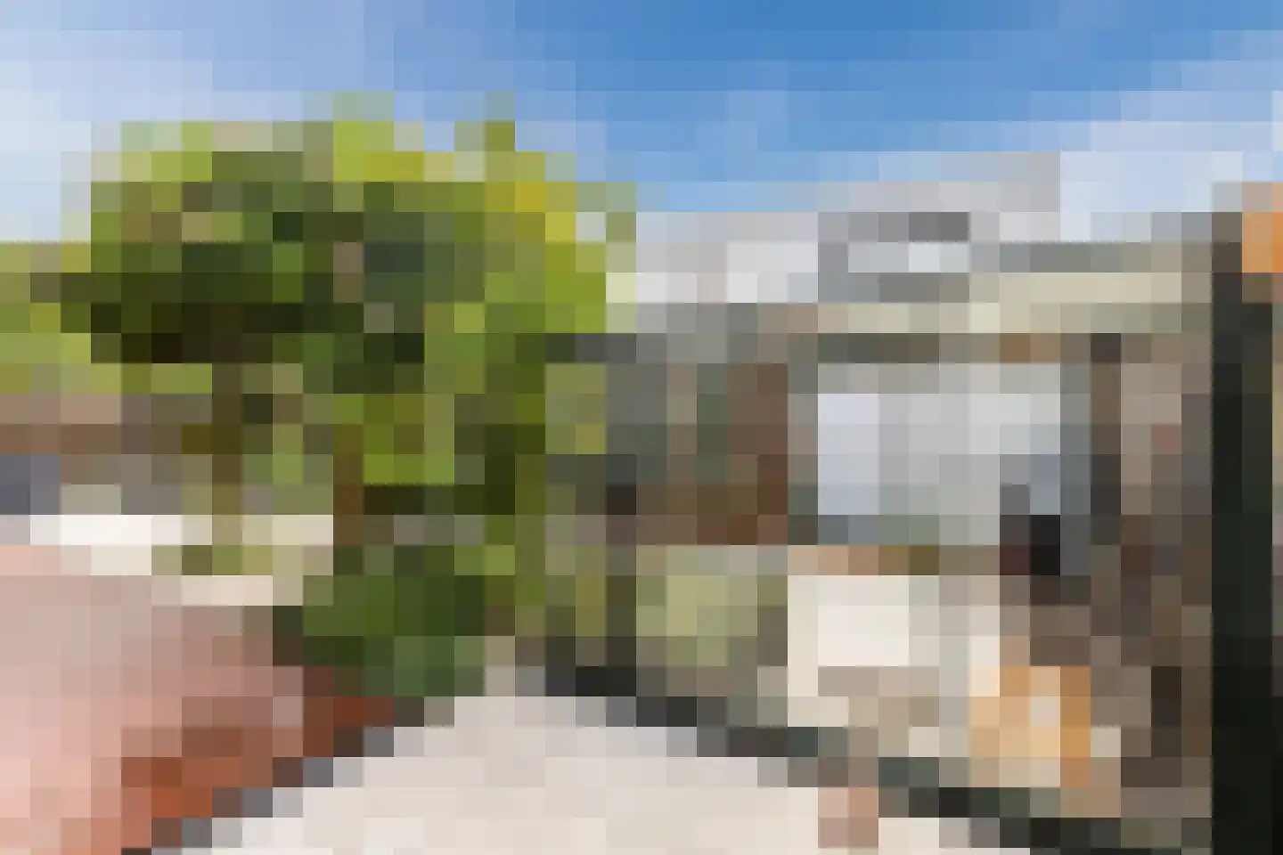 Akoniet 7 Papendrecht thumbnail 36