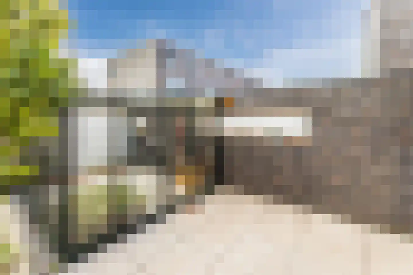 Akoniet 7 Papendrecht thumbnail 37
