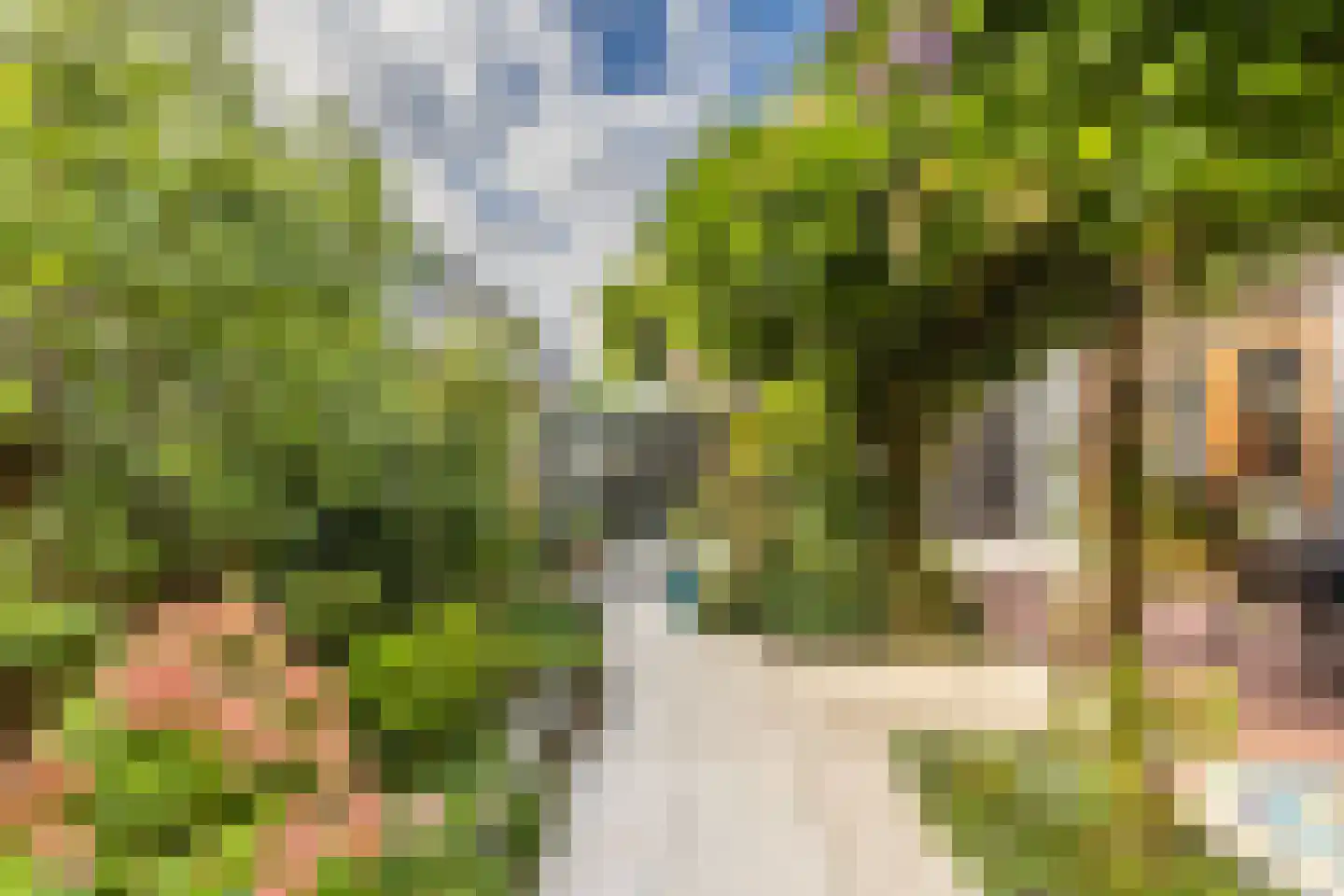 Akoniet 7 Papendrecht thumbnail 38