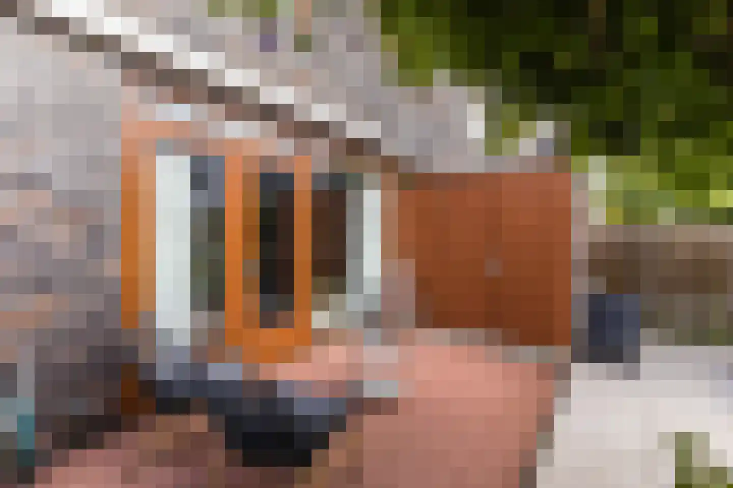 Akoniet 7 Papendrecht thumbnail 39