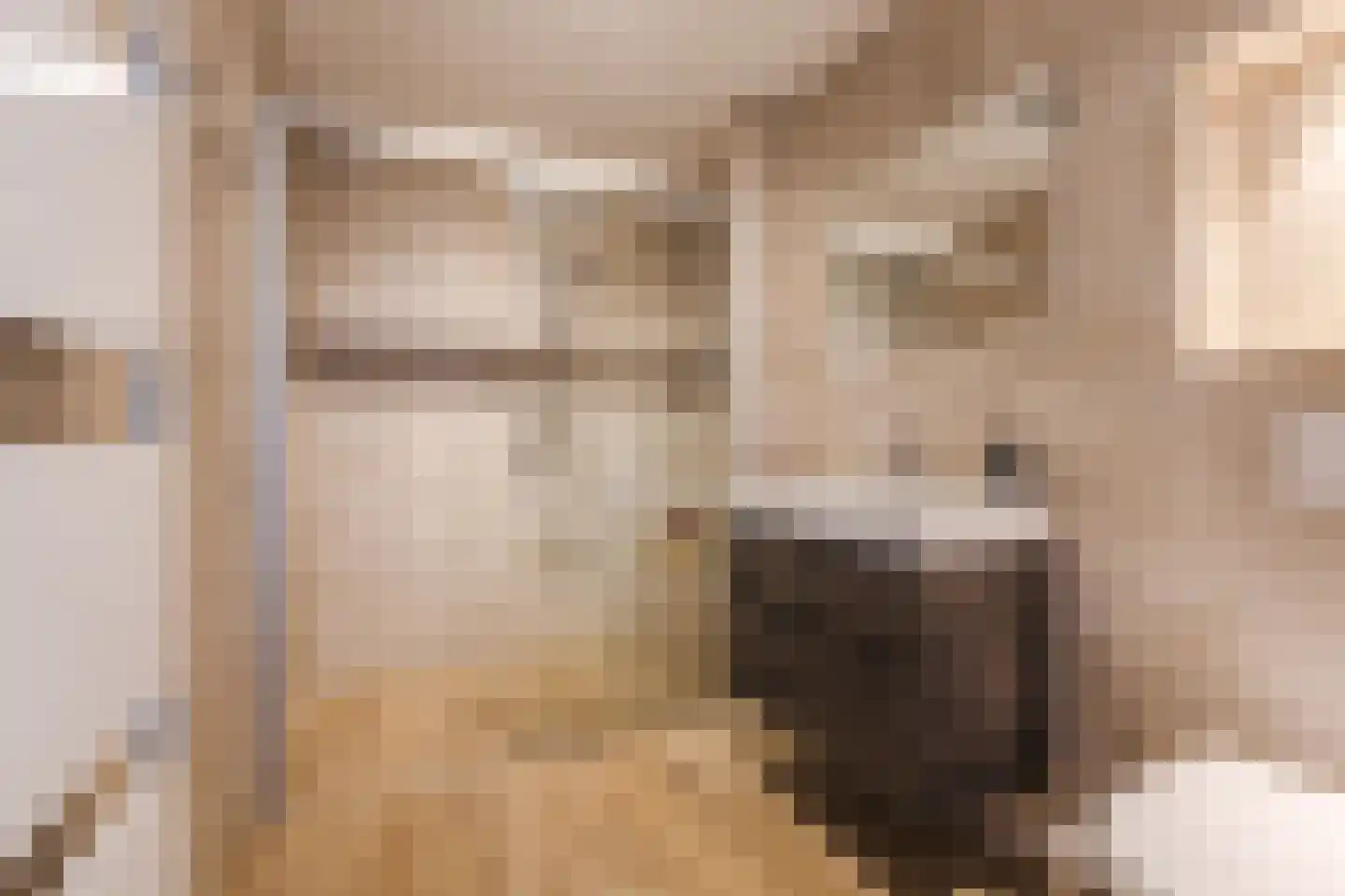 Akoniet 7 Papendrecht thumbnail 4