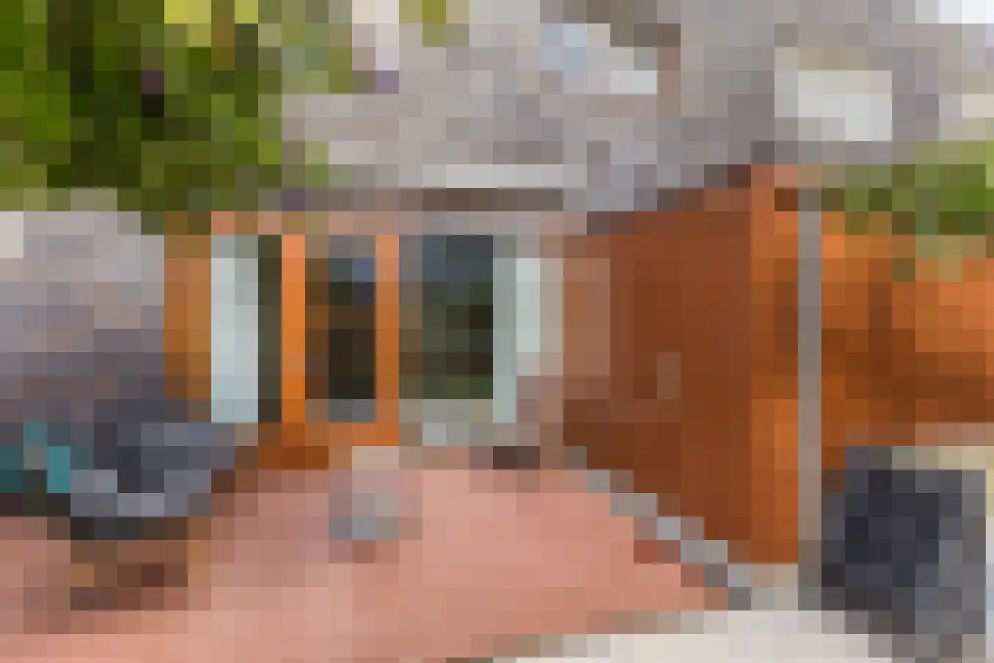 Akoniet 7 Papendrecht thumbnail 41