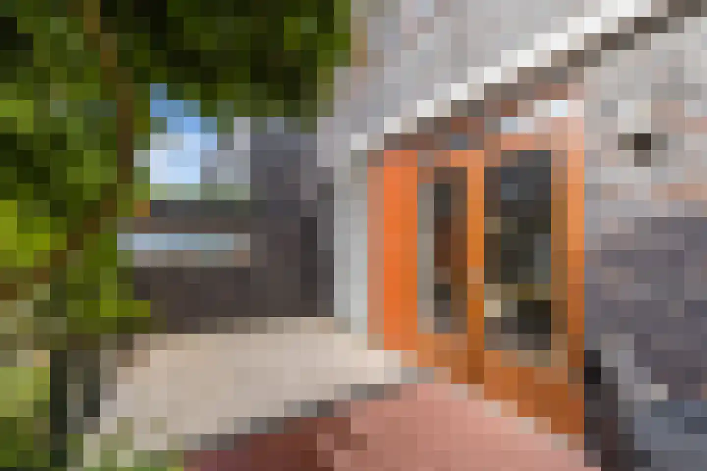 Akoniet 7 Papendrecht thumbnail 42