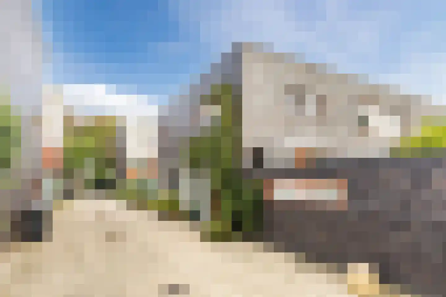 Akoniet 7 Papendrecht thumbnail 43