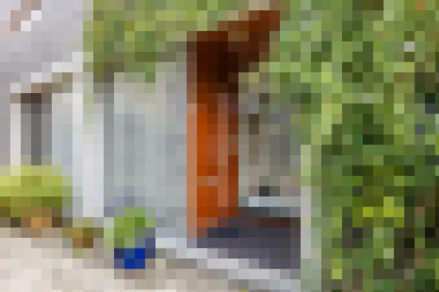 Akoniet 7 Papendrecht thumbnail 7