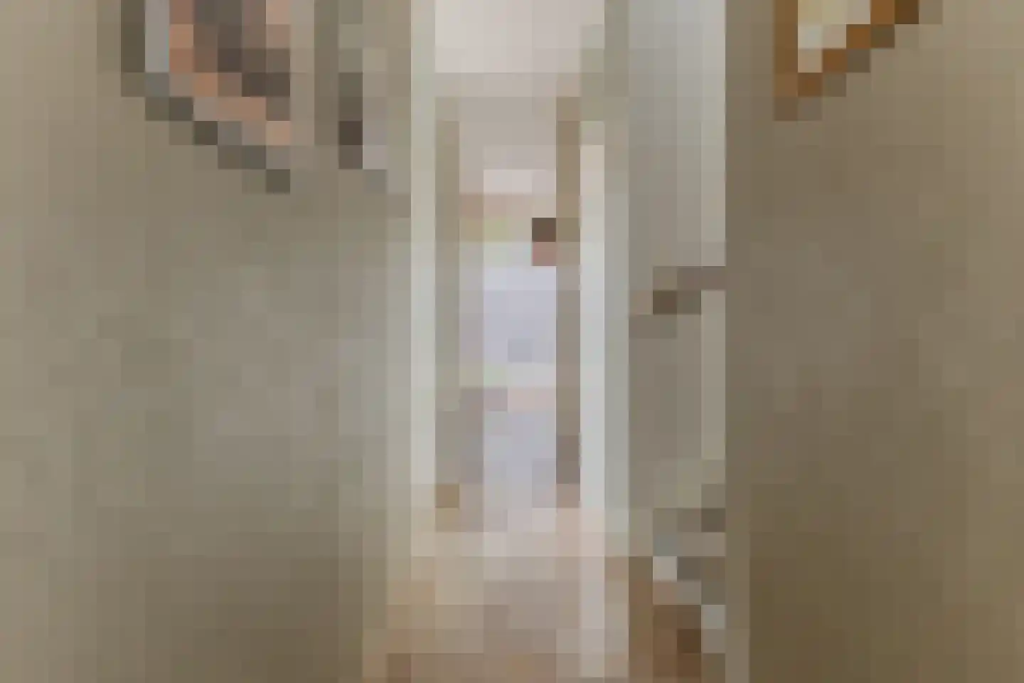 Akoniet 7 Papendrecht thumbnail 9