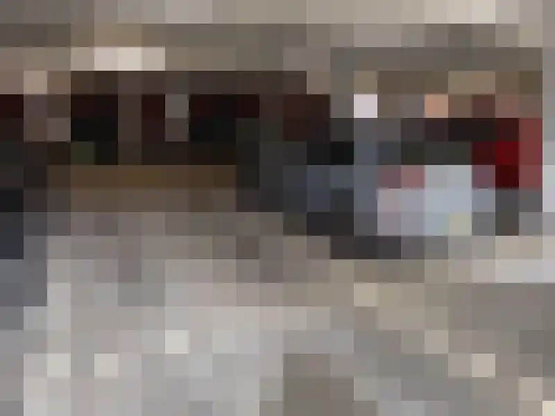 Akropolishof 101 Delft thumbnail 15