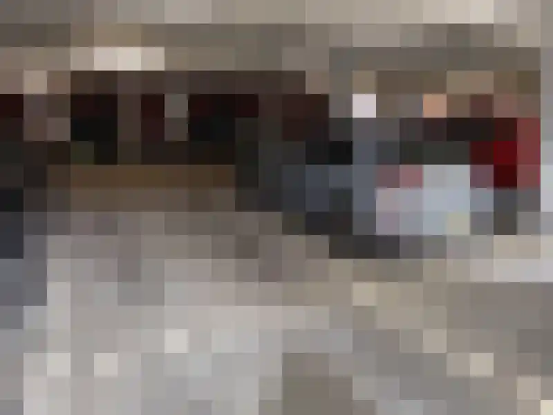 Akropolishof 101 Delft thumbnail 15