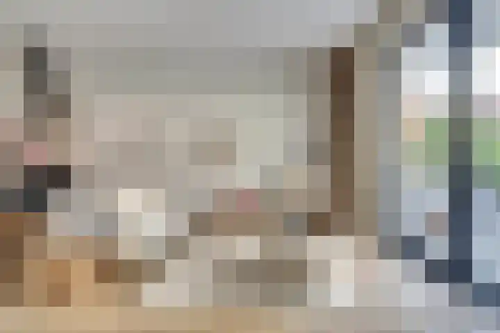 Akropolishof 12 Delft thumbnail 11