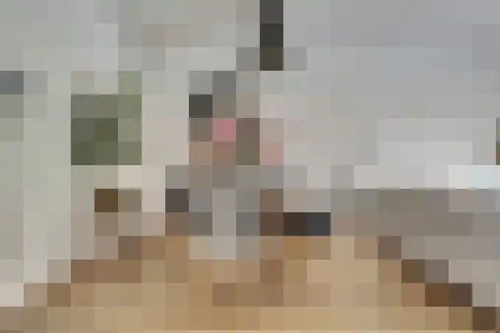 Akropolishof 12 Delft thumbnail 13