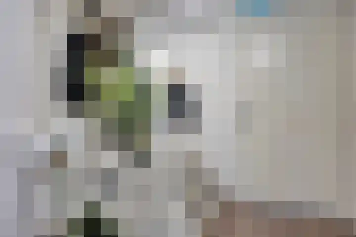 Akropolishof 16 Delft thumbnail 13