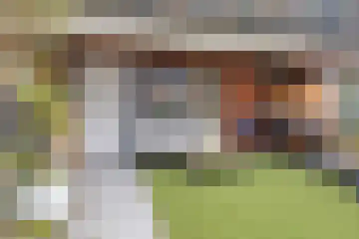 Akropolishof 16 Delft thumbnail 4