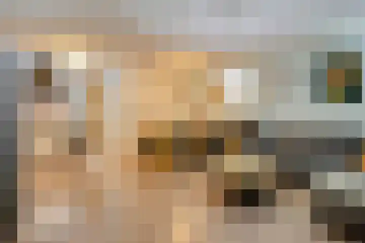Akropolishof 16 Delft thumbnail 6