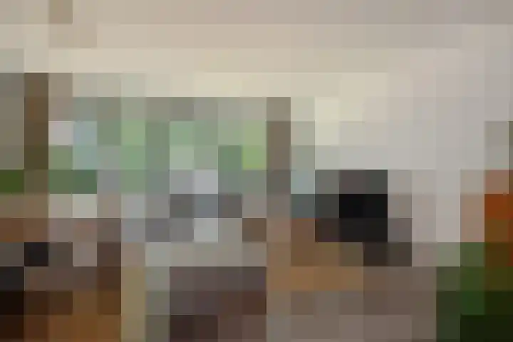Akropolishof 23 Delft thumbnail 10