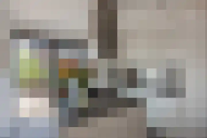 Akropolishof 23 Delft thumbnail 5