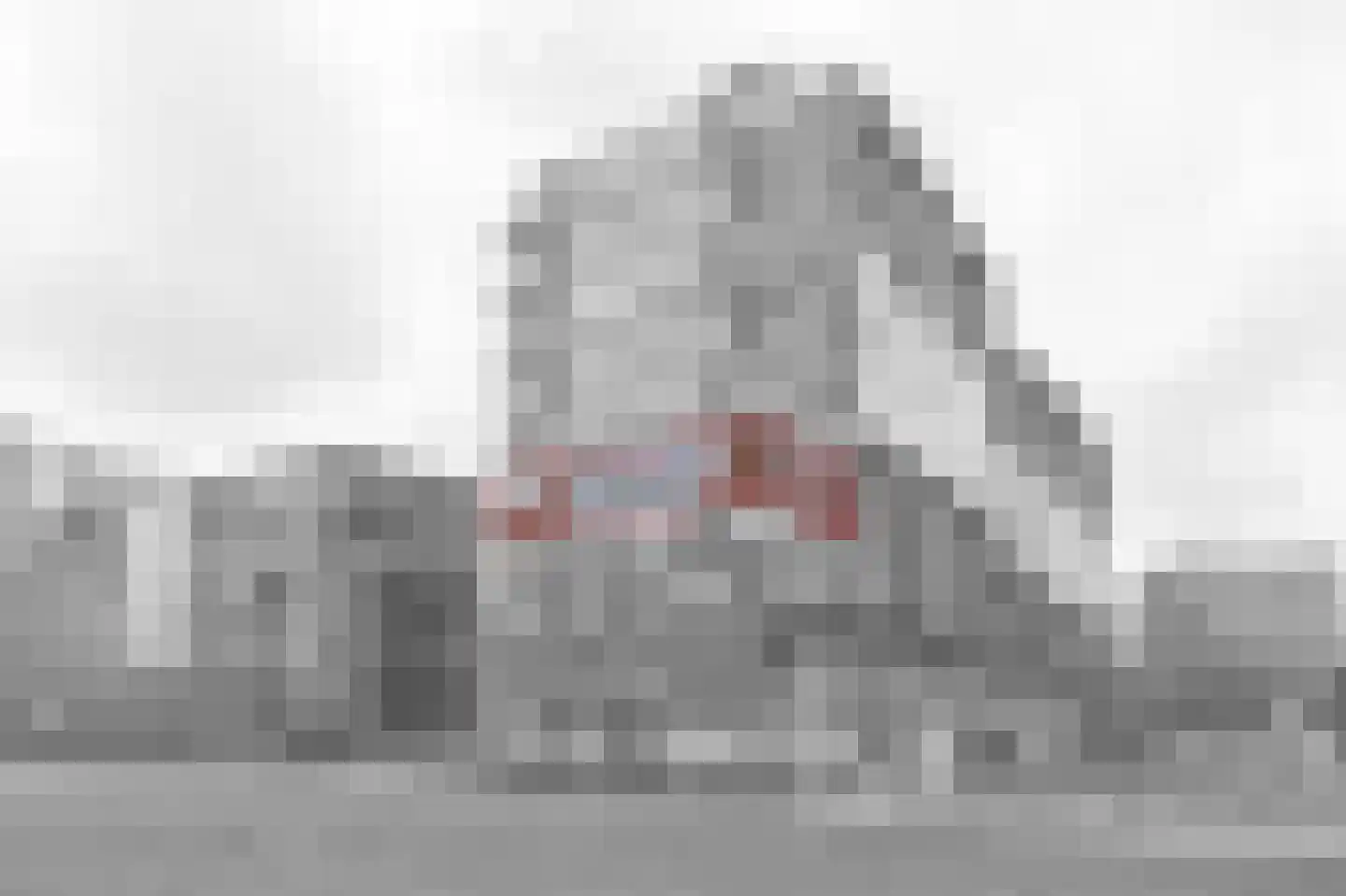 Akropolishof 79 Delft thumbnail 5