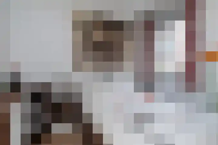Akropolishof 8 Delft thumbnail 17
