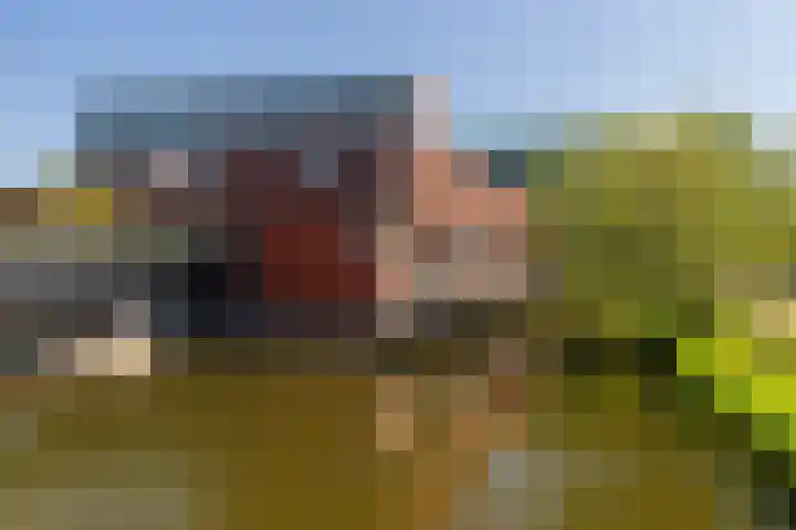 Akropolishof 8 Delft thumbnail 39