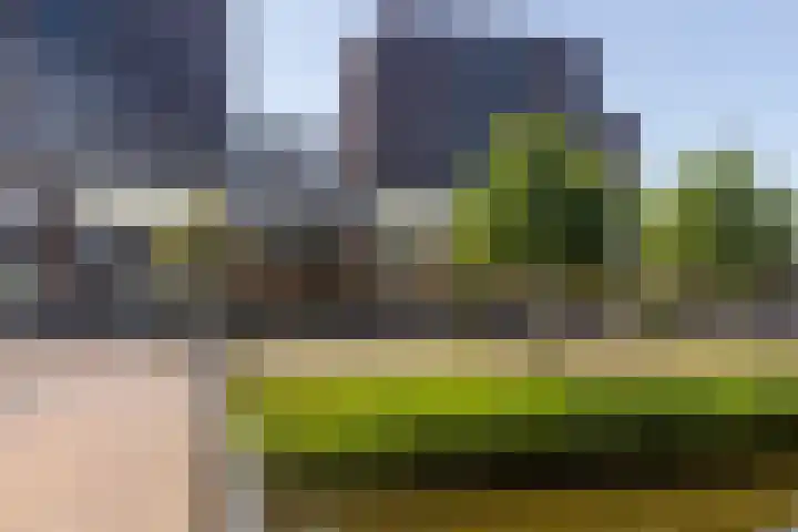 Akropolishof 8 Delft thumbnail 40