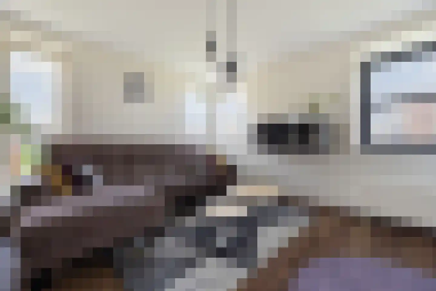 Akropolishof 89 Delft thumbnail 8
