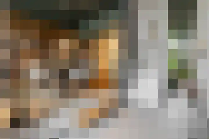 Akulaan 54 Ede thumbnail 10