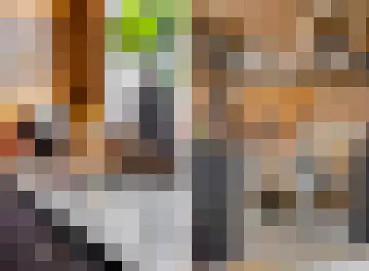 Akulaan 54 Ede thumbnail 14
