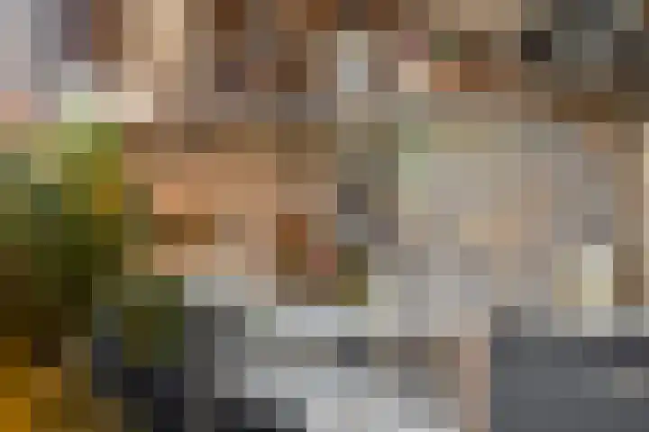 Akulaan 54 Ede thumbnail 15