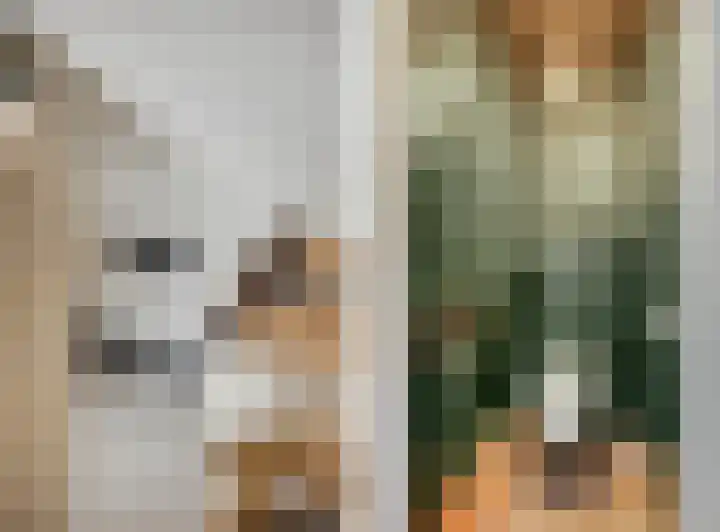 Akulaan 54 Ede thumbnail 17